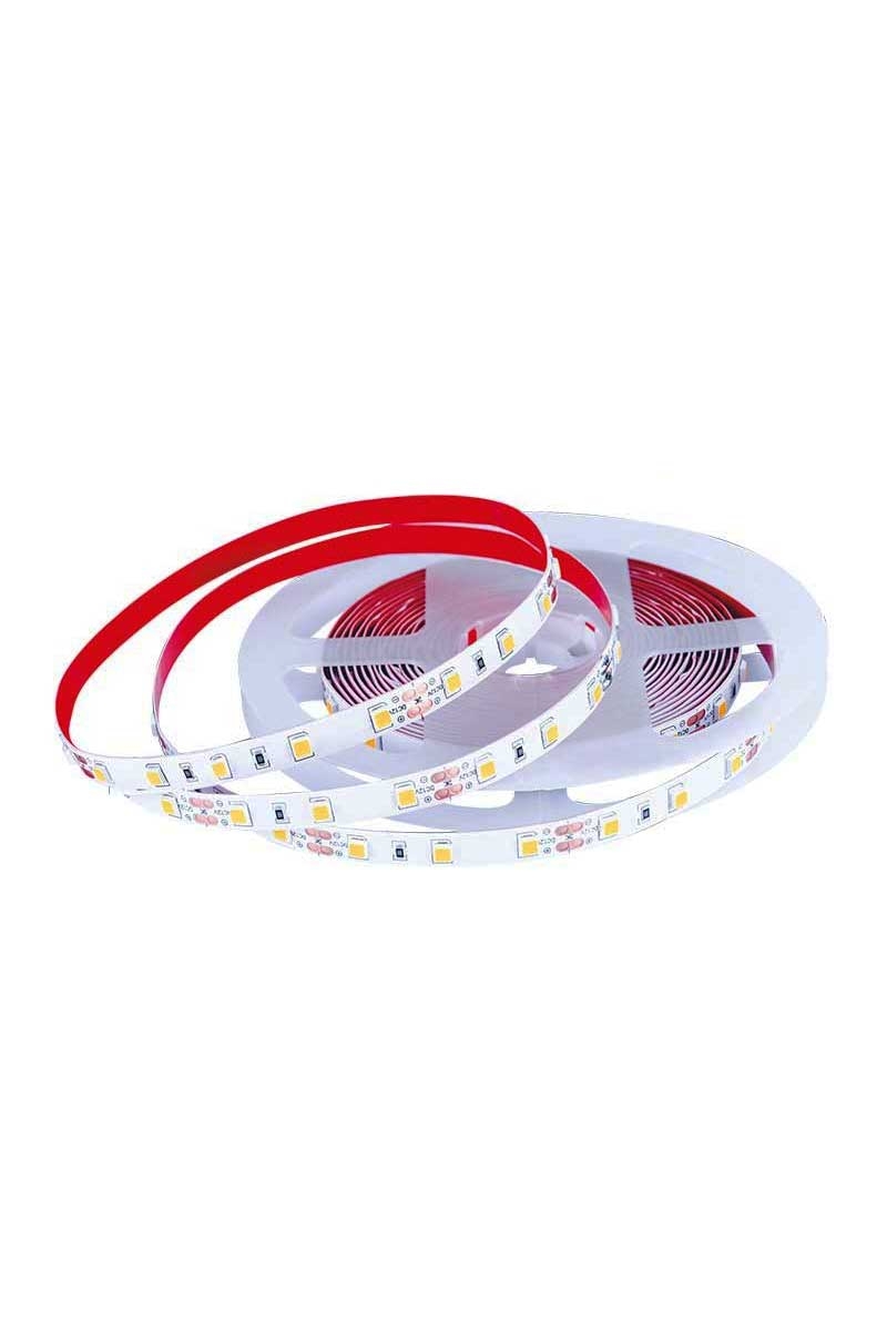 forlife-fl-5060-m-5m-12v-mavi-4040-ic-mekan-serit-led-505681-82-B